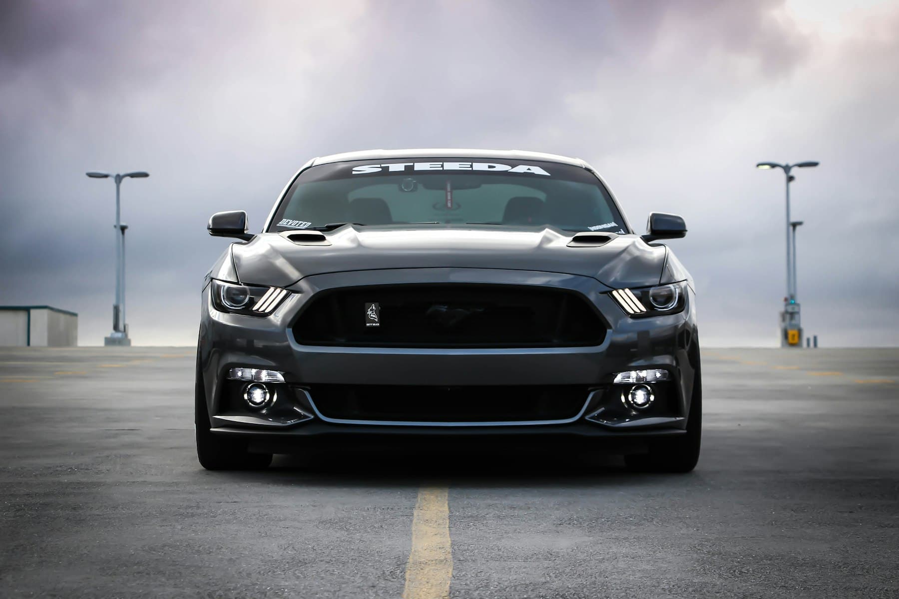 Ford Mustang after paint correction